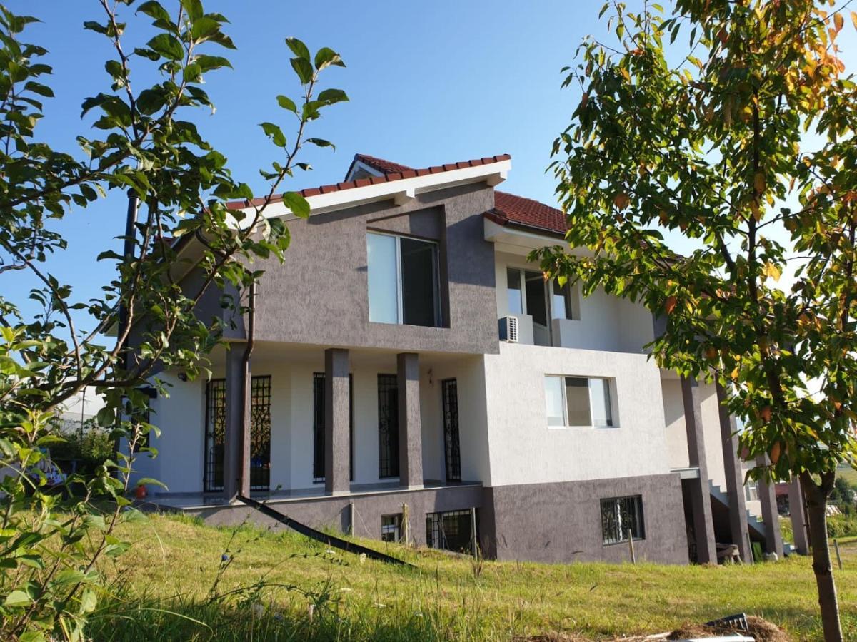 Lidia House Lejlighed Alba Iulia Eksteriør billede