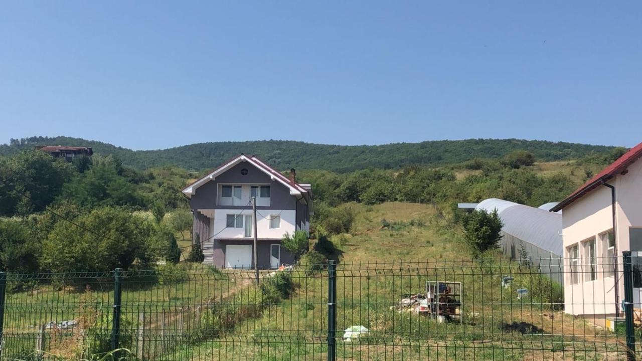 Lidia House Lejlighed Alba Iulia Eksteriør billede